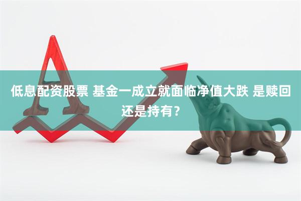低息配资股票 基金一成立就面临净值大跌 是赎回还是持有？