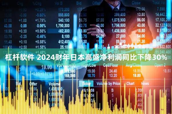 杠杆软件 2024财年日本高盛净利润同比下降30%